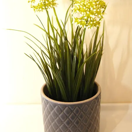 Friedrichs Stuebchen *gemuetlich*modern*innenstadt* * Dresden